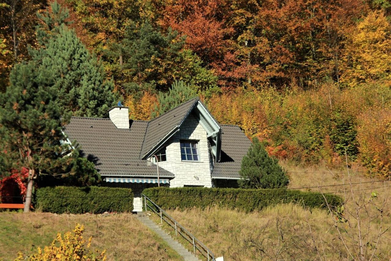 Letniskowa 10 Villa Czernichow  Exteriör bild