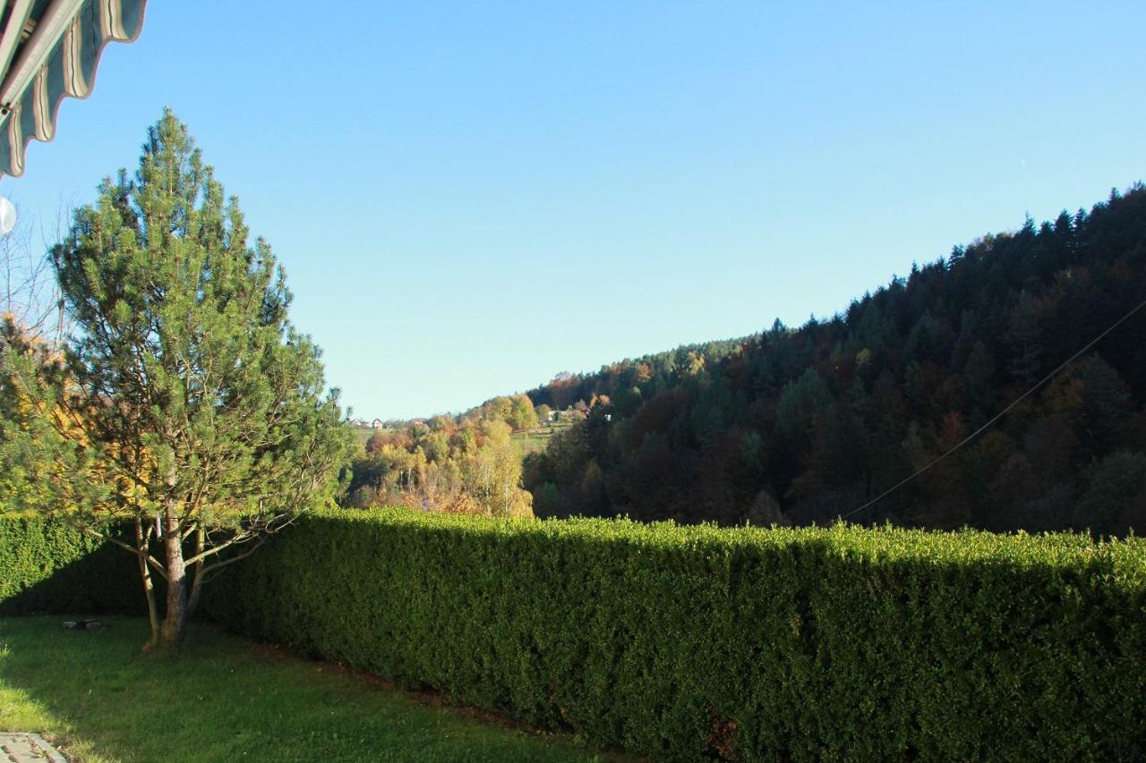 Letniskowa 10 Villa Czernichow  Exteriör bild