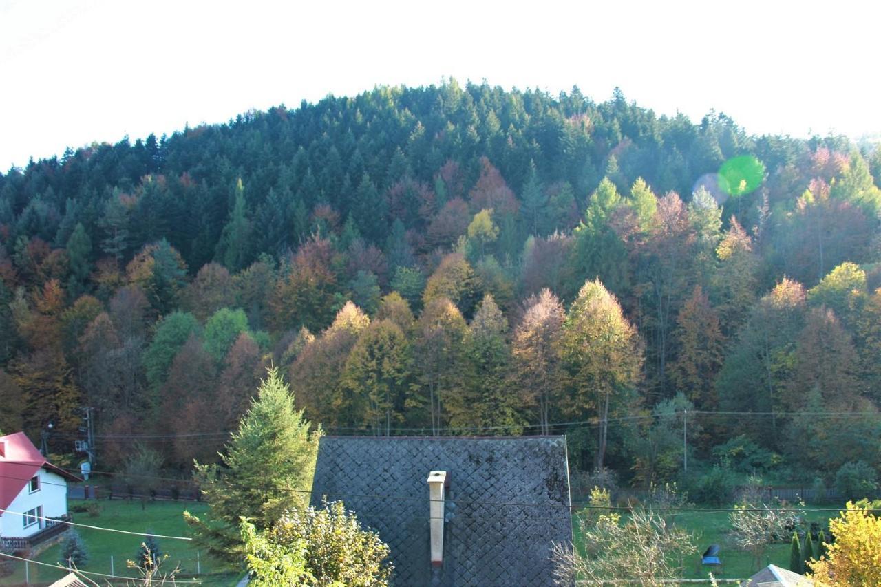 Letniskowa 10 Villa Czernichow  Exteriör bild